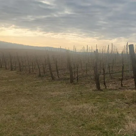 Apartma Kiana 公寓