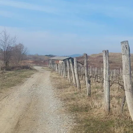 公寓 Apartma Kiana