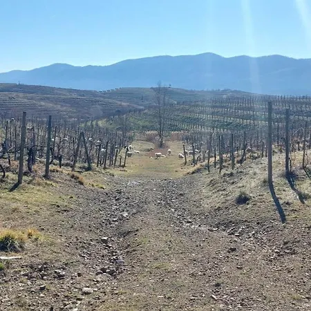 Apartma Kiana 公寓 *