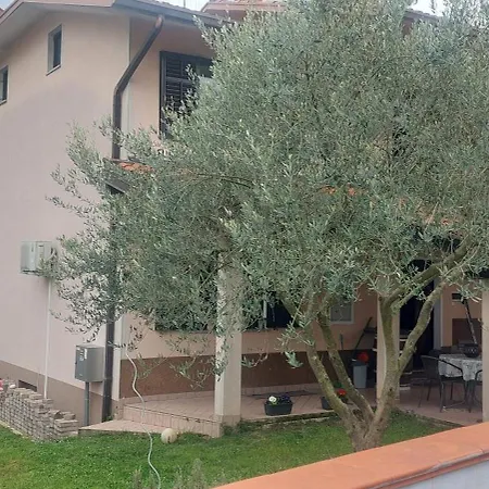 Apartma Kiana *