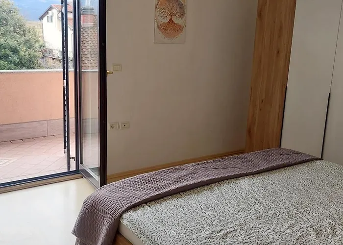 Apartma Kiana 公寓