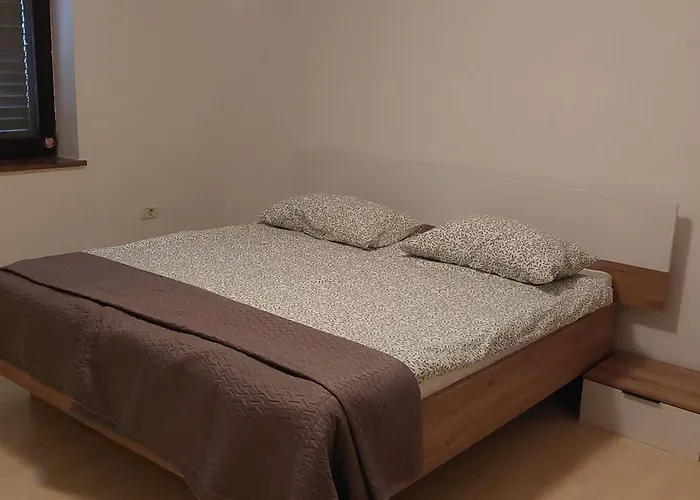 Apartma Kiana 公寓