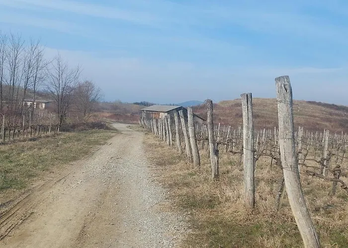 公寓 Apartma Kiana