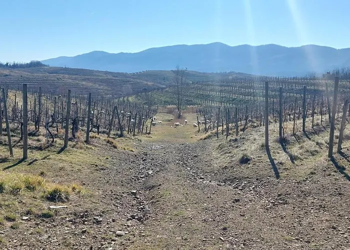 Apartma Kiana דירה *